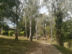 IMG_20180824_112135_resized_20180824_121806717