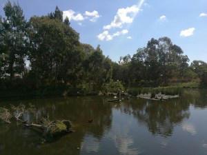 IMG_20180824_114020_resized_20180824_121706983