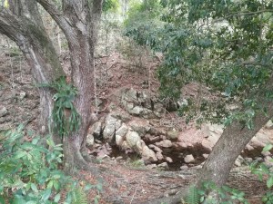 IMG_20181010_163714_resized_20181012_012209682