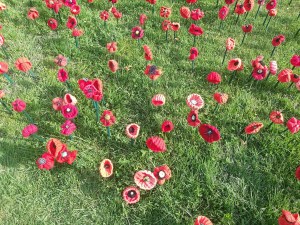 IMG_20181028_170844_resized_20181028_060208535