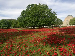 IMG_20181028_171001_resized_20181031_124719464