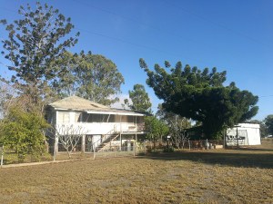 IMG_20180703_085012_resized_20180714_112257698