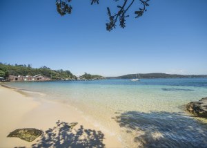 zillman quarantine c