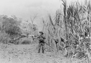 9E6749DF-53E1-42A7-B261-B9DD605A9341_4_5005_c