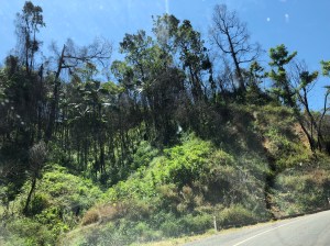 CFE12488-DC2A-407A-AE05-7FBDFF5E4B4F