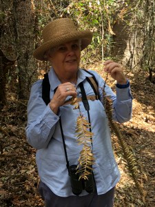 20B8EC51-12F1-48BE-9E11-6F689326DBC0