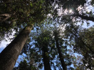 3CA28F0E-E113-476C-8BCC-0E5DBD82E71E