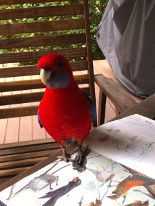 68064807-6927-4AFB-9C9B-9D34996E7B99