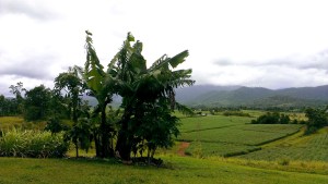 06FF0145-4C62-4F82-A470-A090615A3B76_1_201_a