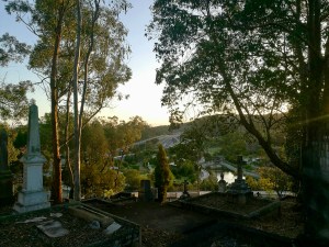 1F5FEC17-3026-4303-9819-E875A4652365_1_201_a