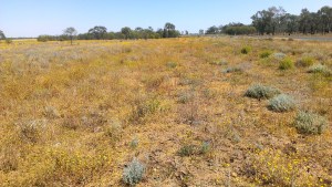 3A434EE1-F890-481C-9732-91E9E6D8620B_1_201_a