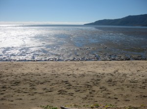 D39C46BE-AFC8-41F4-A8A7-DE5B186AF171