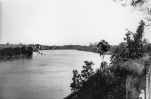 kangaroo point cliffs 1950