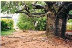 ED6609A7-13BD-4BC0-A354-C102157AC36F