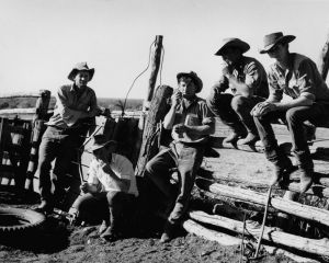 inlander stockmen slq