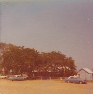 F2E0A8E0-2AE4-4041-AD81-3D84D521C039_1_100_o