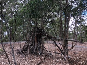 0906D048-0509-47DB-B382-BF3CAB57533F