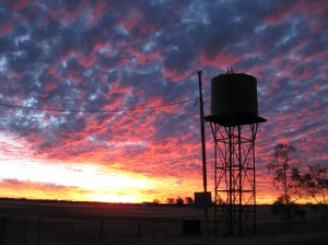 159EFD45-510D-423A-8648-521C1D6F51E4