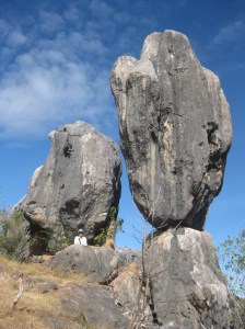 3339F72E-8FD8-4BE1-B397-5FF70313A688