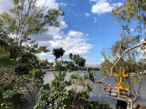 49B269DE-FC73-4321-9BBE-8B4EDF11A06B