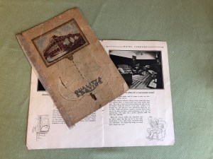 58B714E9-3739-4D3D-8B0C-4EE0684DC034_1_201_a