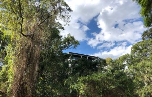 5B06EAD0-9EAD-41A8-88FC-1779CA71C369_1_201_a