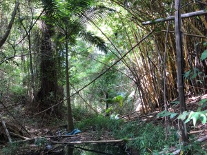 888F617A-A4A3-43EA-94BA-837281167453