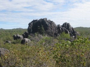 CC8FAB05-F289-48F6-80BC-CC90AF27530A