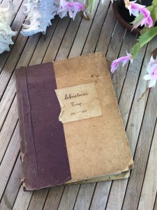 ED3897E1-9074-485A-8167-1C19EF181C99