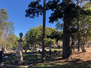 1660FEF7-B114-48DF-B9F3-EA275482B8A3_1_201_a