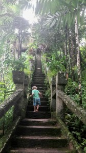 1E2910EC-1434-4A5D-A16E-4C8D9928AD86_1_201_a