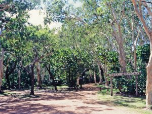 cooktown-botanic-gardens-cooktown-1