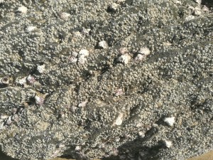 DE282A87-50C6-472B-94CE-DCE25BE549D3